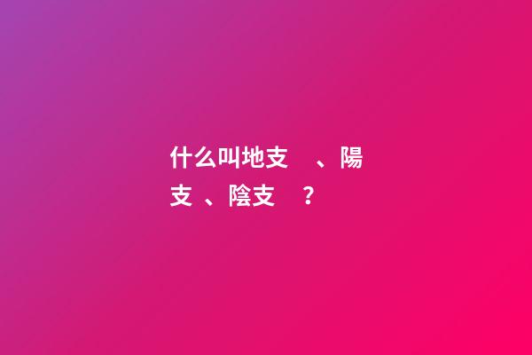 什么叫地支、陽支、陰支？
